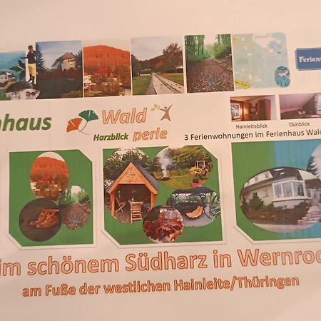 Fewo Brockenblick Wernrode Zewnętrze zdjęcie