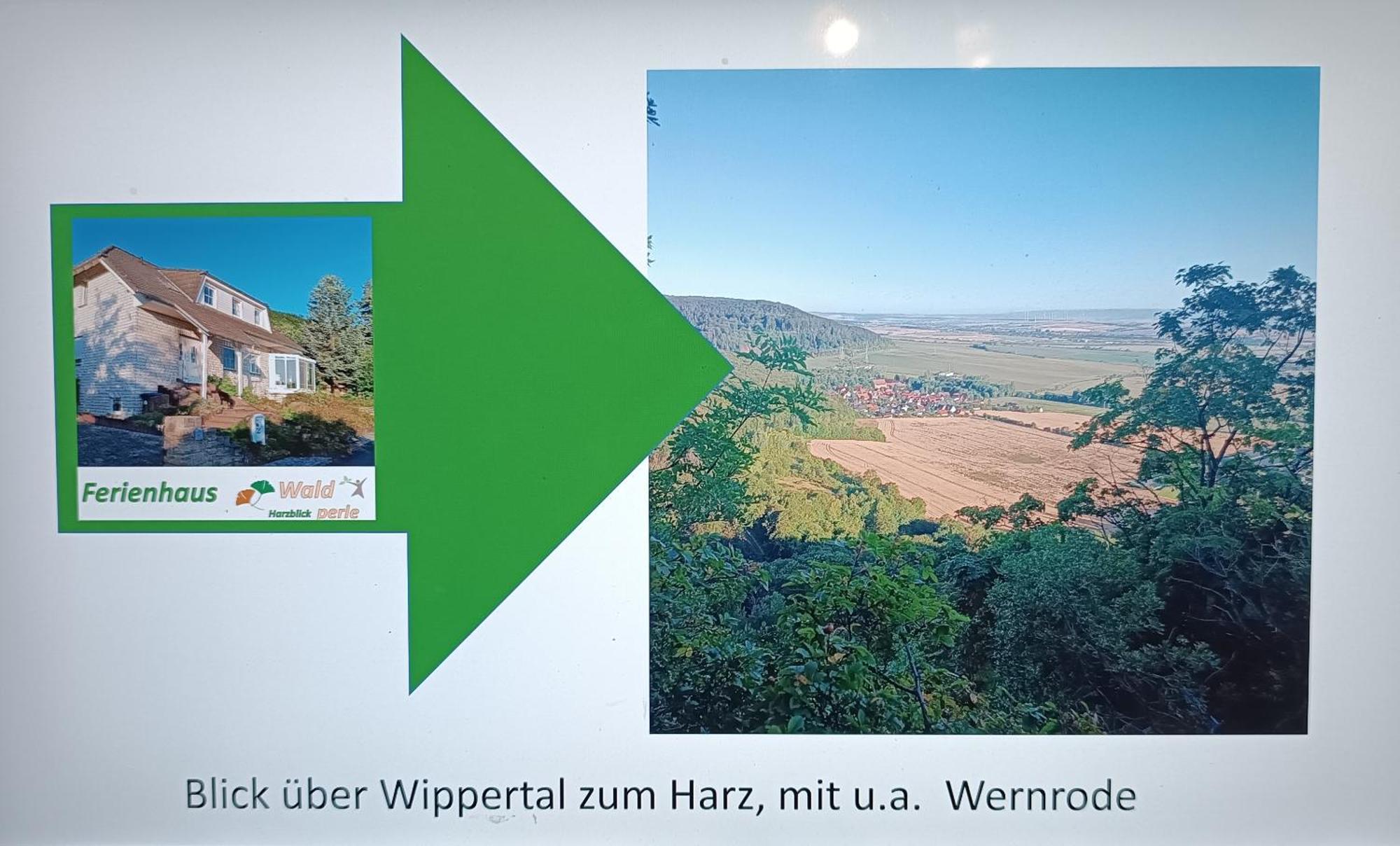 Fewo Brockenblick Wernrode Zewnętrze zdjęcie