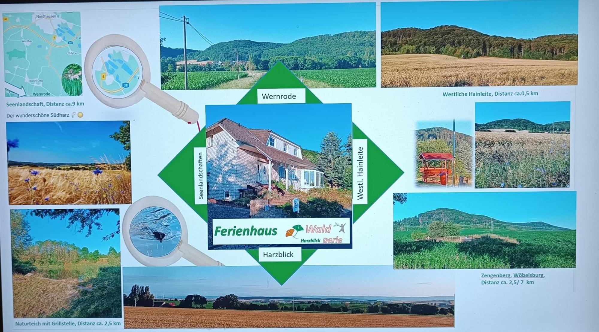Fewo Brockenblick Wernrode Zewnętrze zdjęcie