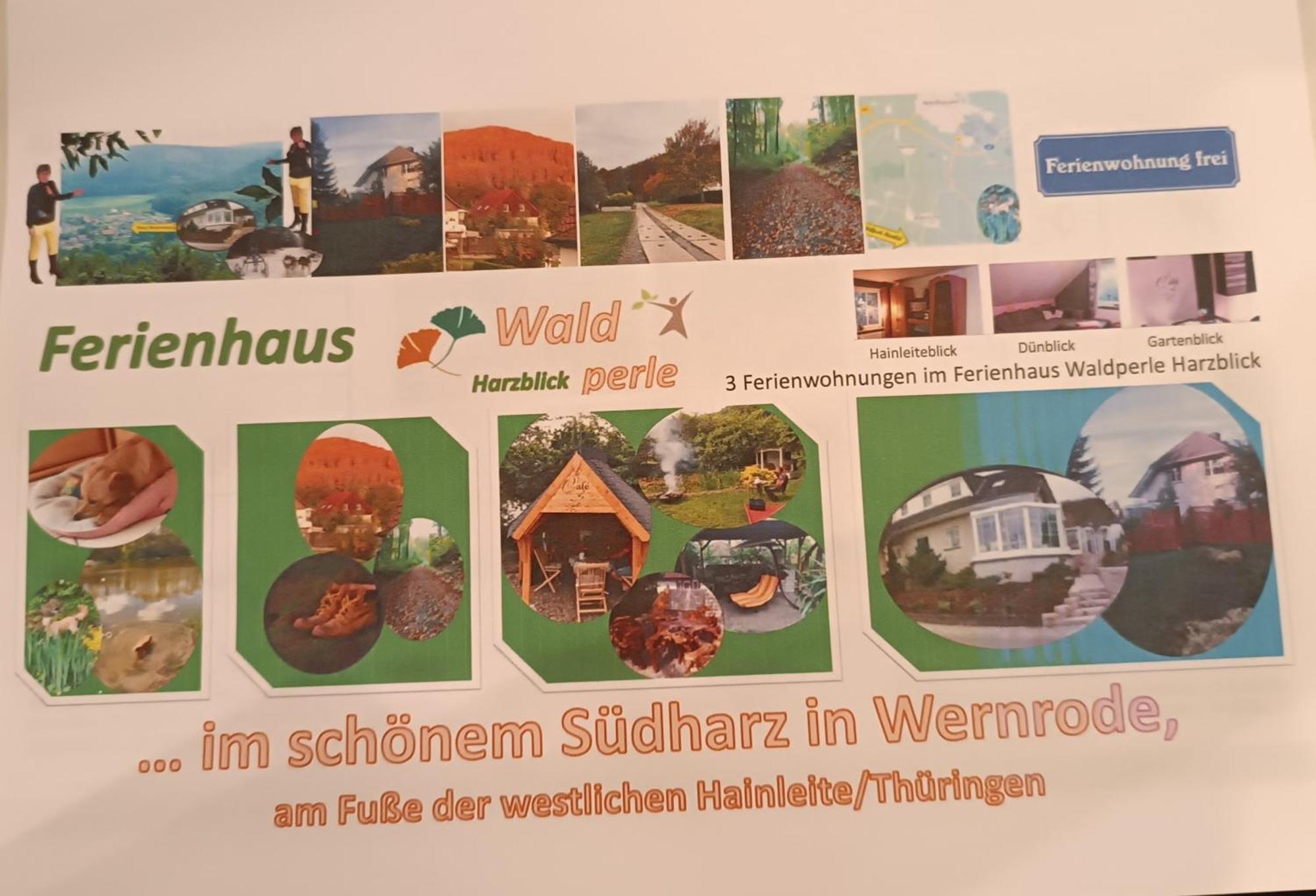 Fewo Brockenblick Wernrode Zewnętrze zdjęcie