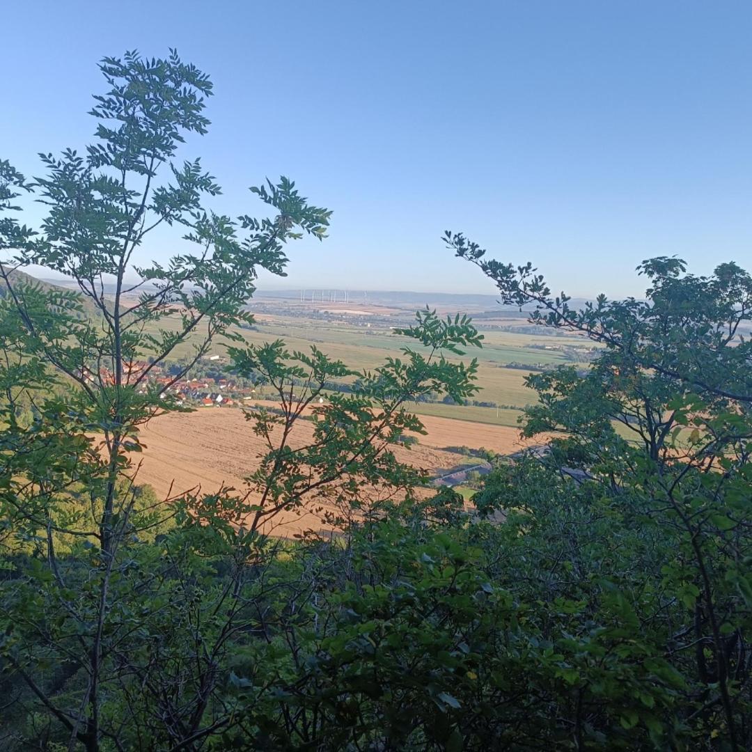 Fewo Brockenblick Wernrode Zewnętrze zdjęcie