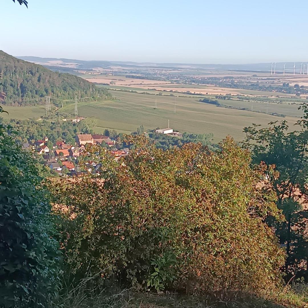 Fewo Brockenblick Wernrode Zewnętrze zdjęcie
